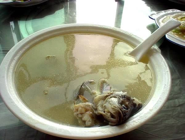 魚スープ（釣果）
